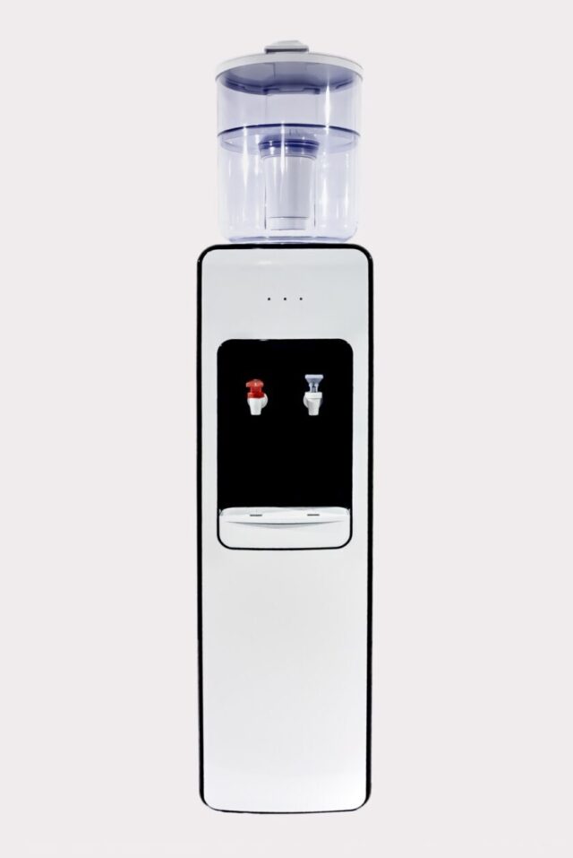 WhatsApp Image 2021-03-12 at 17.34.16